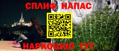 дурь Новодвинск