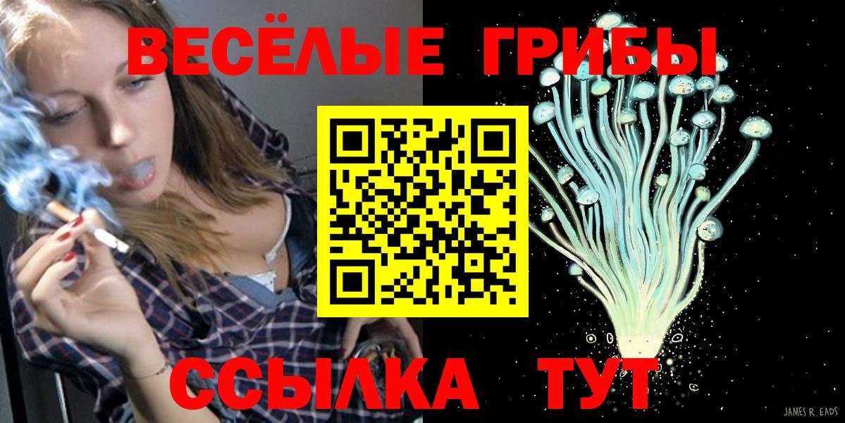 Элиста  Псилоцибиновые грибы ЛСД  Вход с VPN 